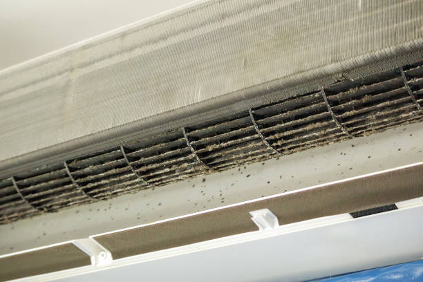 Best Air Quality Test  in Hanceville, AL